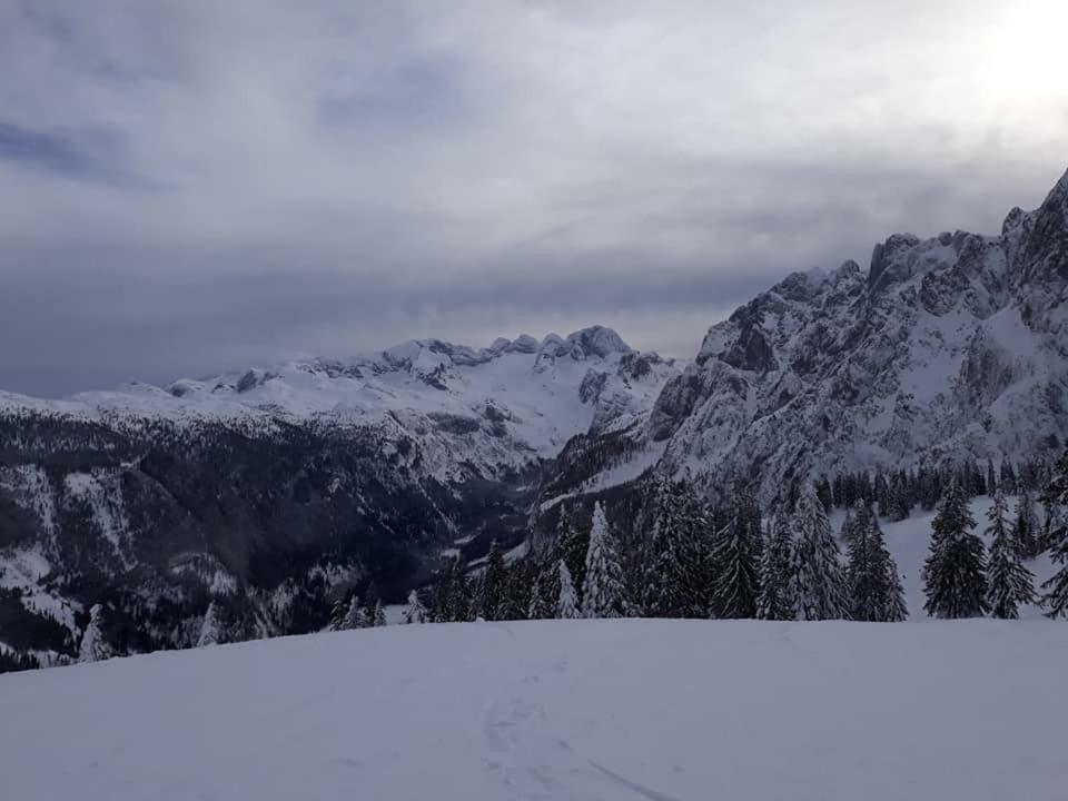 Dachstein View Ski Apartment Gosau Exterior photo